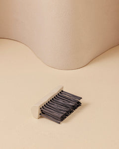 La brosse de nettoyage