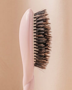 N.01 La Petite Brosse Brillance & Soin l'Universelle Rose Lilas