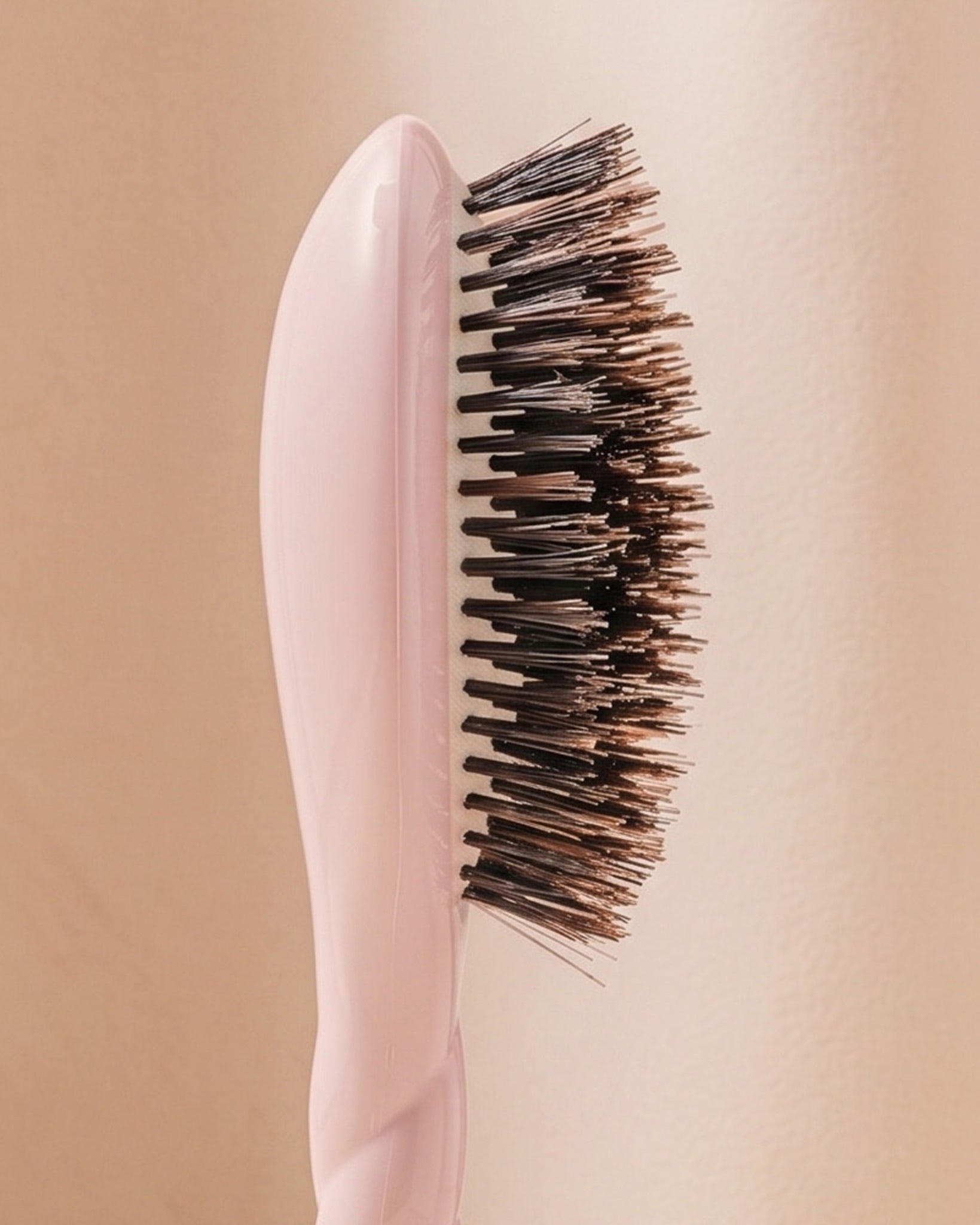 N.01 La Petite Brosse Brillance & Soin l'Universelle Rose Lilas
